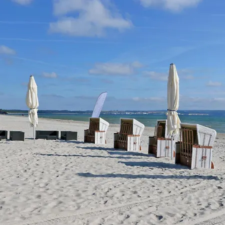 Daire Skipper Lubkow